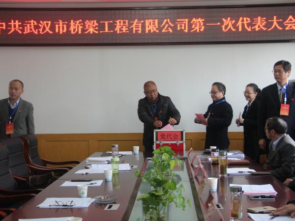 黨代會3，投票2.JPG